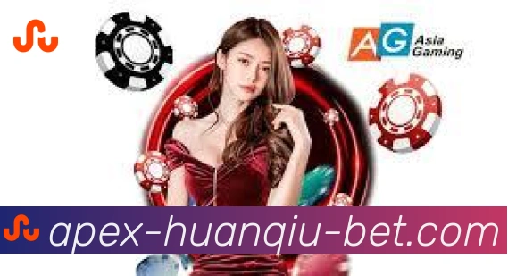 企业概况