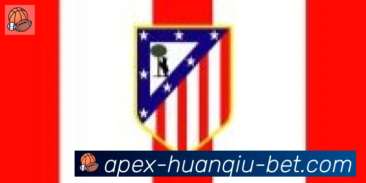 环球体育官网合作伙伴